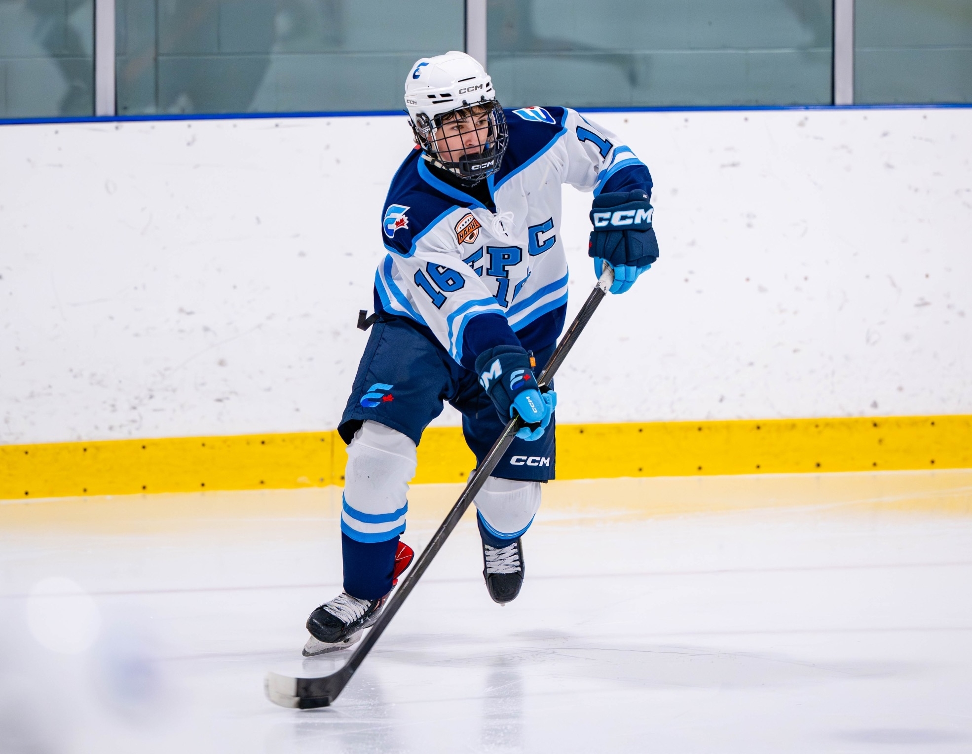 hockey player skating