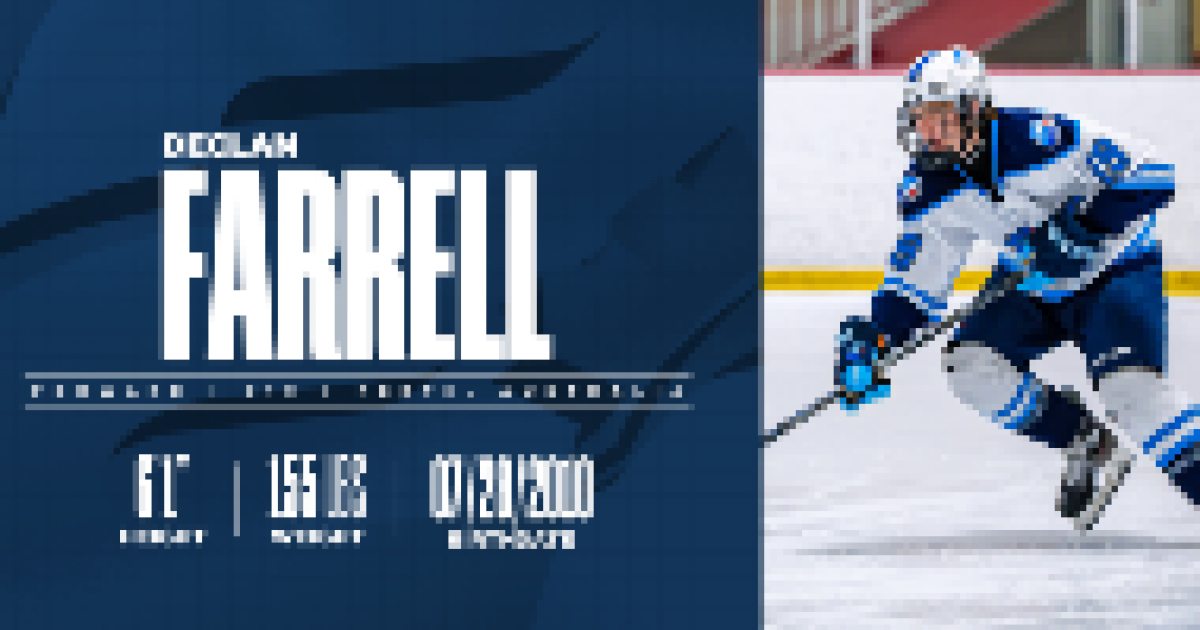Player Profile Information